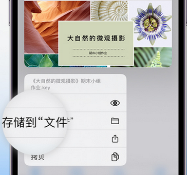 高平apple维修中心分享iPhone文件应用中存储和找到下载文件