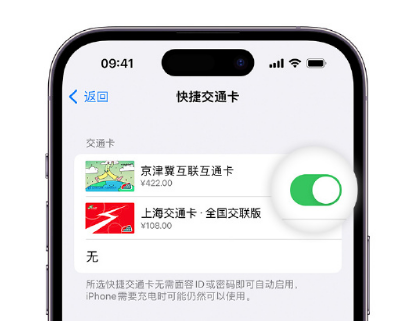 高平apple维修点分享iPhone上更换Apple Pay快捷交通卡手绘卡面 