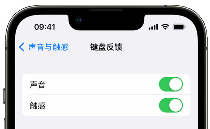 高平苹果手机维修分享iPhone 14触感键盘使用方法 