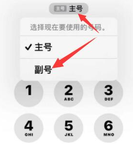 高平苹果14维修店分享iPhone 14 Pro Max使用副卡打电话的方法 