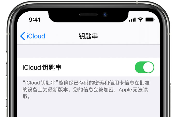 高平苹果手机维修分享在 iPhone 上开启 iCloud 钥匙串之后会储存哪些信息 