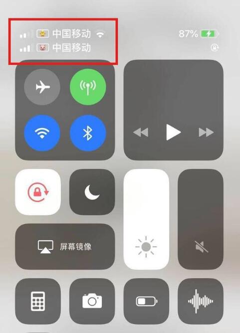 高平苹果手机维修分享为 iPhone 12 双卡设置标签 